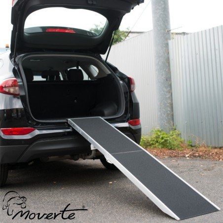 Rampas para perros en moverte.addisnetwork.es