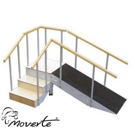 Escalera con rampa metálica tres escalones con pasamanos fijo completa