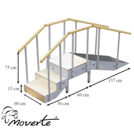 Escalera con rampa metálica tres escalones con pasamanos fijo completa