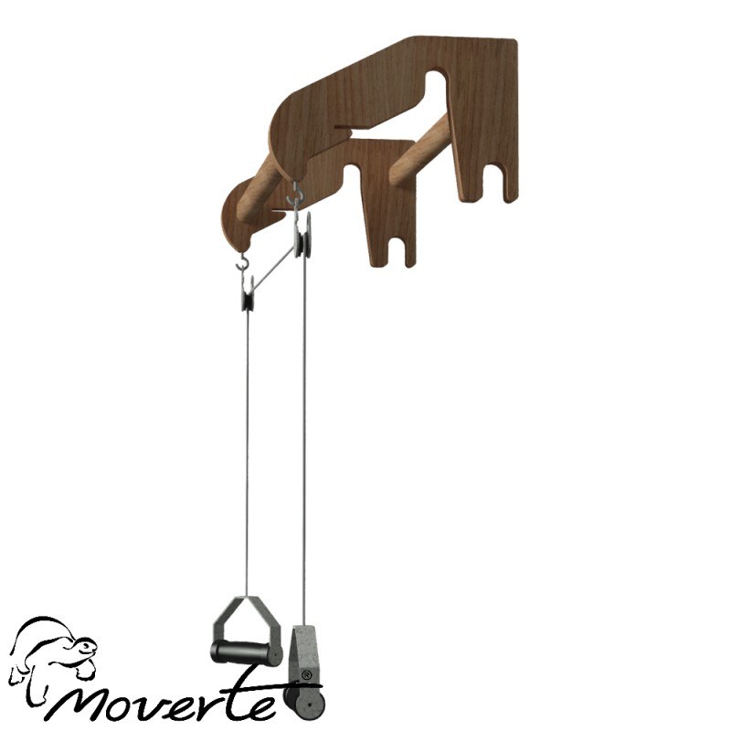 Autopasivo de madera para espaldera