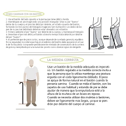 Bastón Clásico De Haya