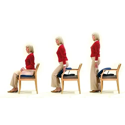 Cojín elevador seat assist