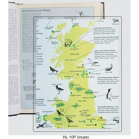 Lupa Plana Flexible- Able2