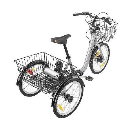 Triciclos Eléctricos