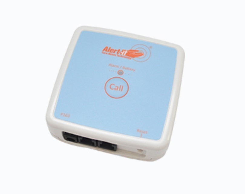 P163AA Monitor Alert-it.jpg